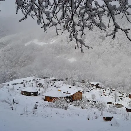 Bed & Breakfast Le Portillon Des Fees *