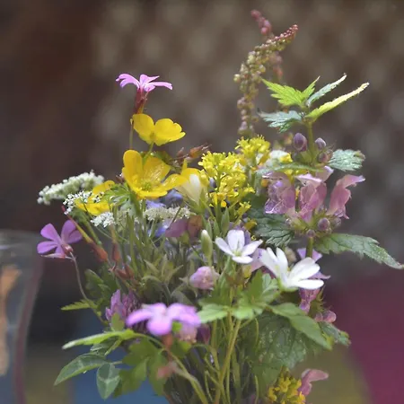 Le Portillon Des Fees