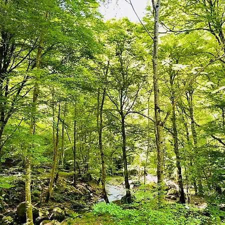 Bed & Breakfast Le Portillon Des Fees *