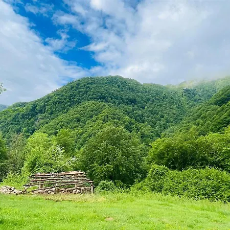 Le Portillon Des Fees *