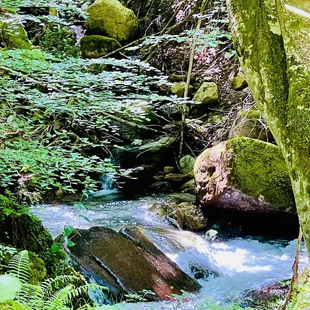 Le Portillon Des Fees Bed & Breakfast