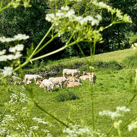 Bed & Breakfast Le Portillon Des Fees Sost
