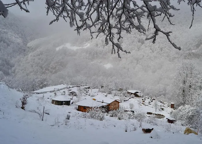 Bed and breakfast Le Portillon Des Fées *