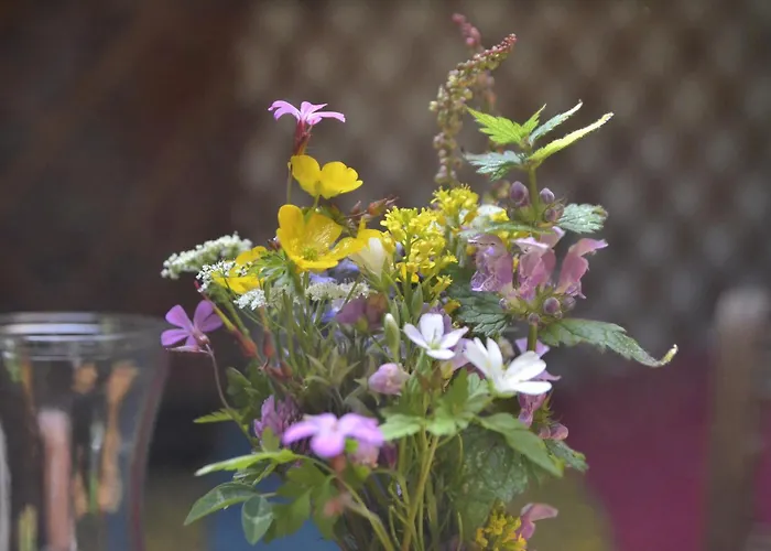 Le Portillon Des Fées