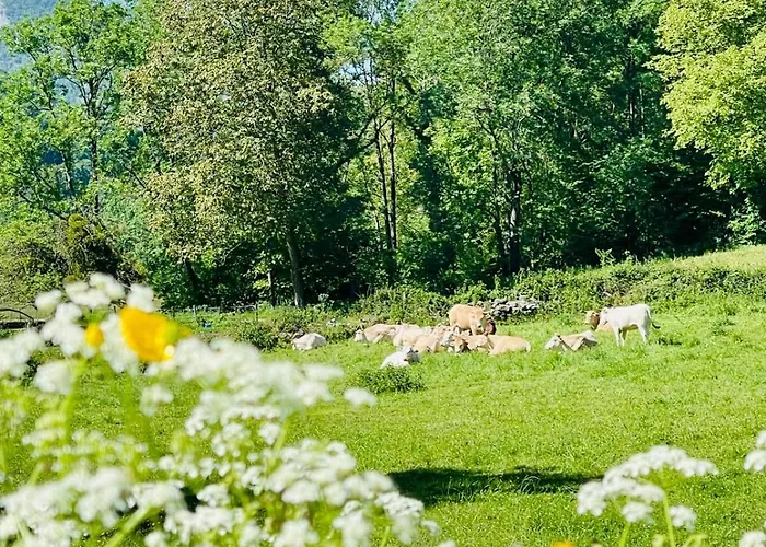 Le Portillon Des Fées Bed and breakfast Sost