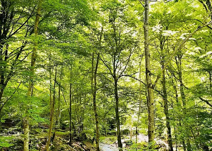 Bed and breakfast Le Portillon Des Fées *