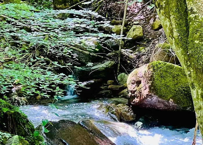 Le Portillon Des Fées Bed and breakfast