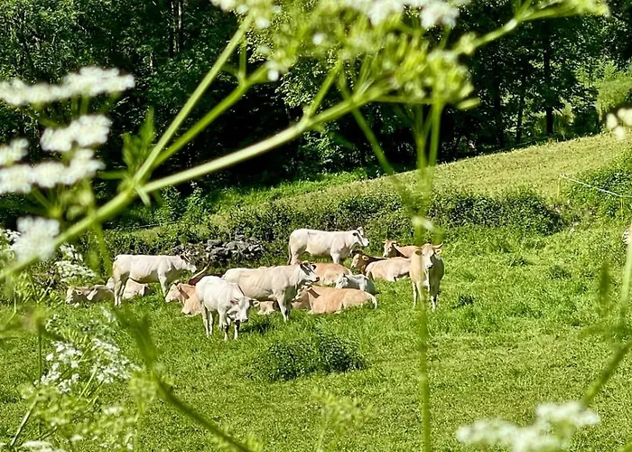 Bed and breakfast Le Portillon Des Fées Sost